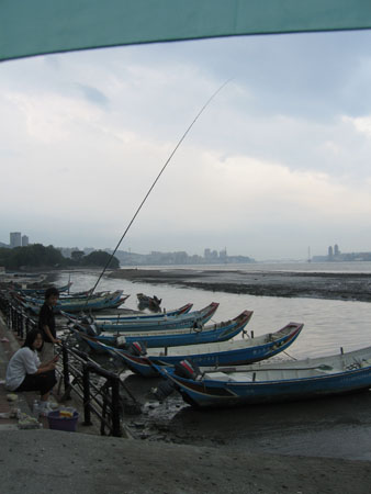 IMG_3544